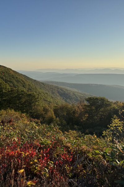 fall mountain scene with horizon in backgound